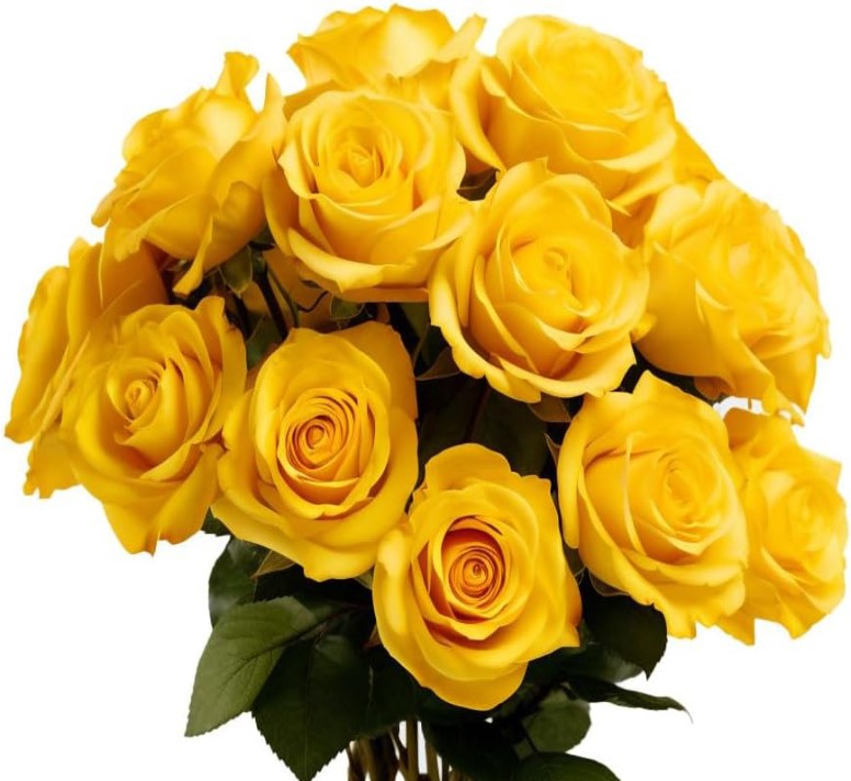 Indian Rose Hub